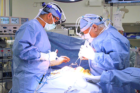 Sydney Dual Surgery Deformity Surgery